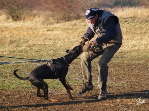 The christmas training 27.12.2006